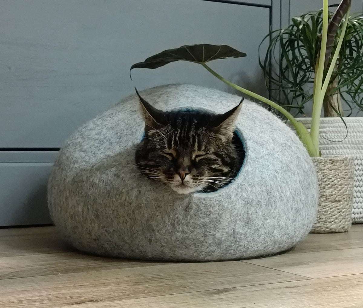 Designer Two Color Cat House - Premium Pet Bed - Home Soul