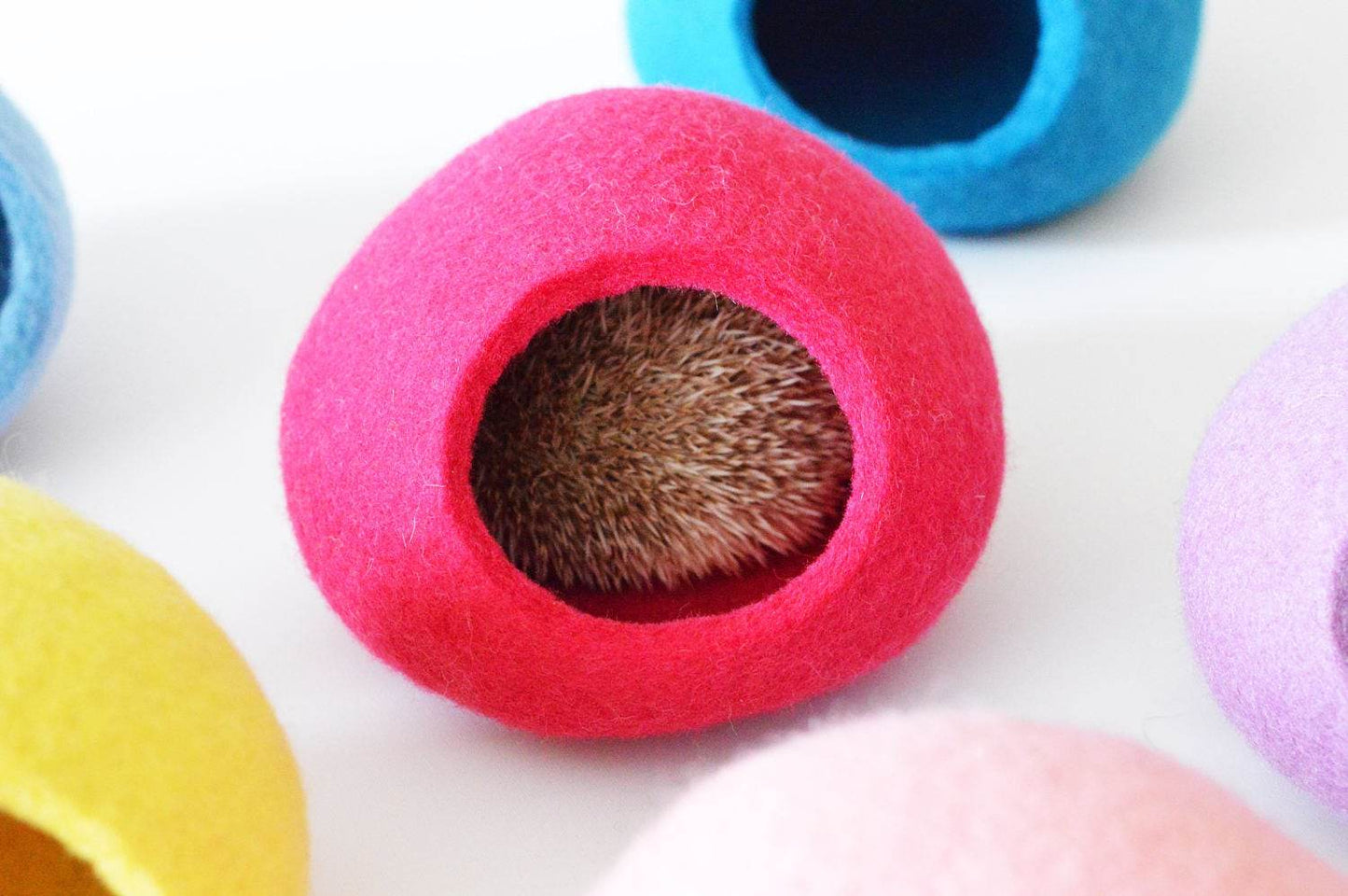 Colorful Hedgehog Bed - Custom Small Pet House - Home Soul