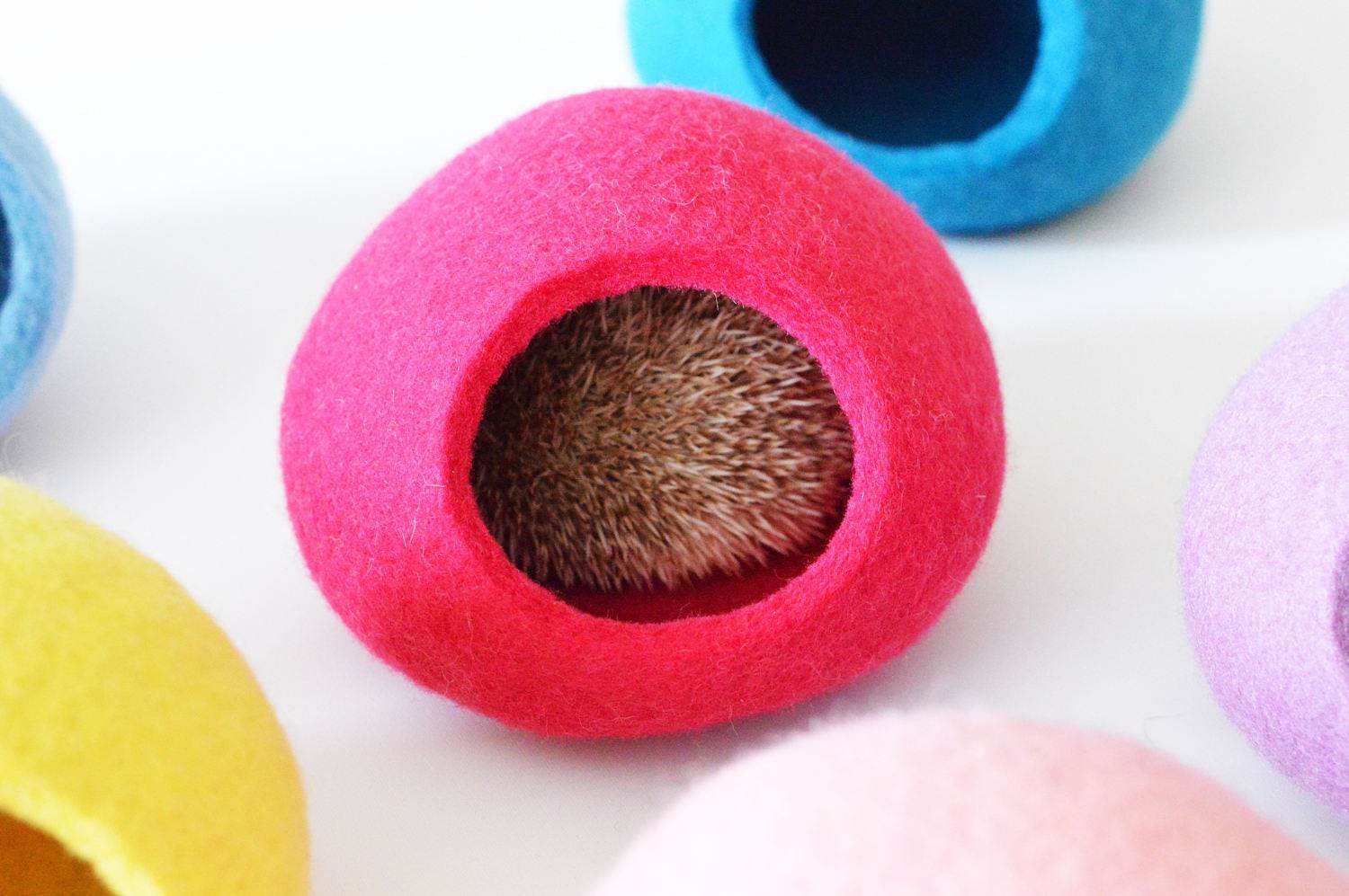 Colorful Hedgehog Bed - Custom Small Pet House - Home Soul