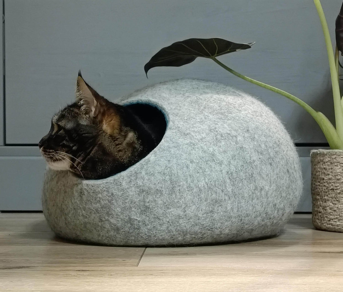 Designer Two Color Cat House - Premium Pet Bed - Home Soul