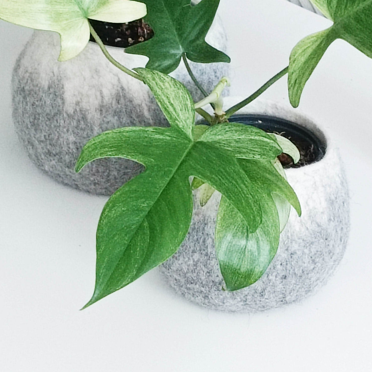 Scandinavian Flower Pot - Handmade Wool Planter - Home Soul