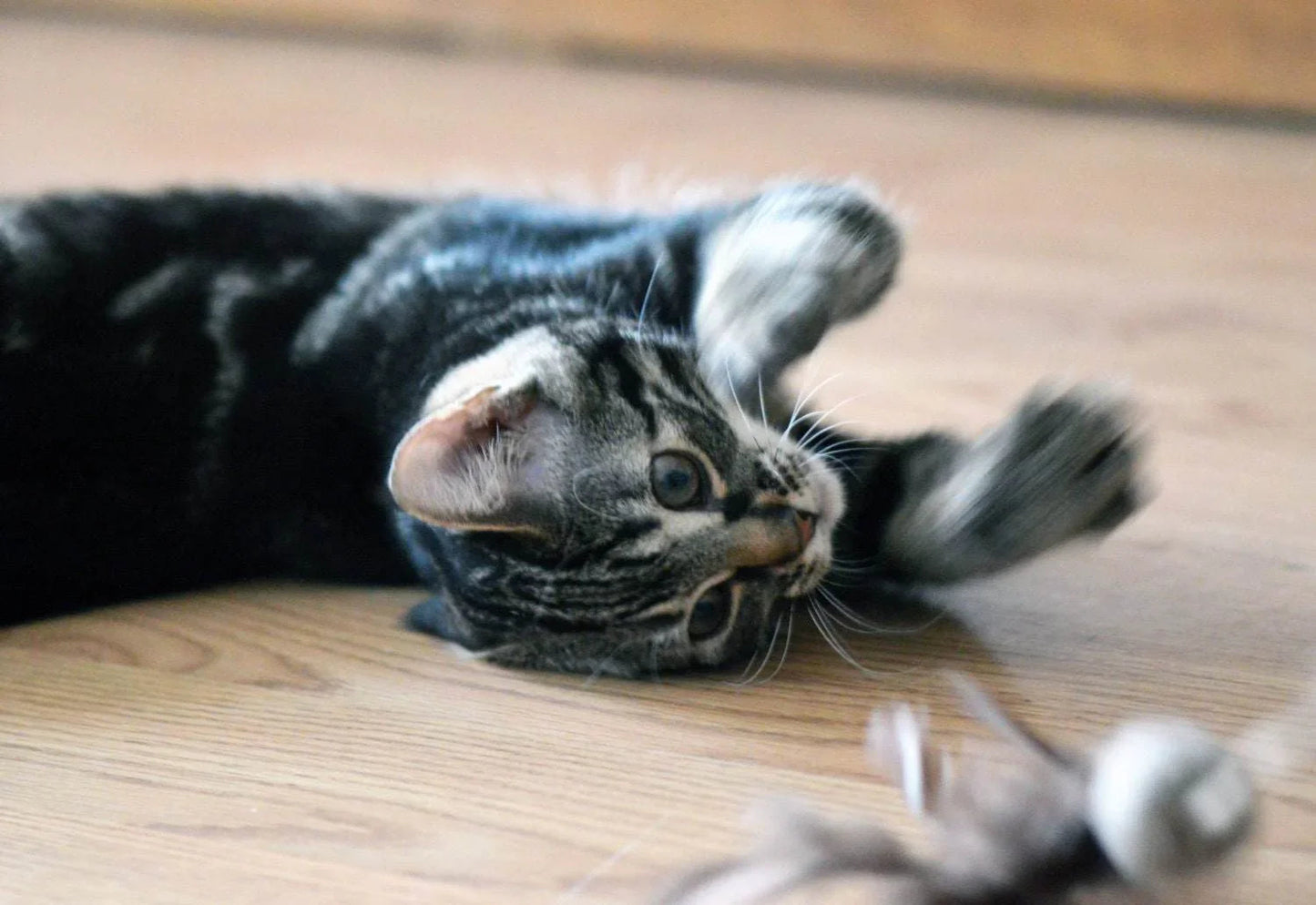 Cat Teaser Toy - Wool Ball with Feathers - Home Soul
