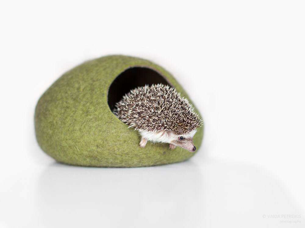 Premium Hedgehog Bed - Deluxe Pet House - Home Soul