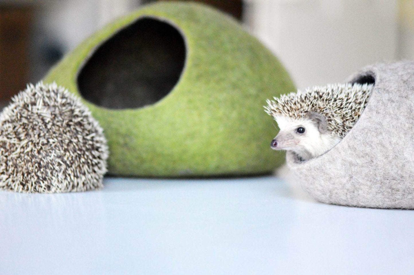 Two Color Hedgehog Bed - Dual-Tone Pet House - Home Soul
